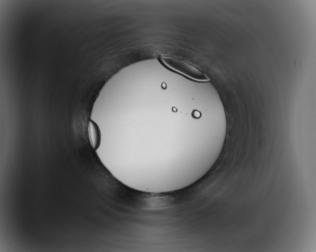 X0000088050336200705251327