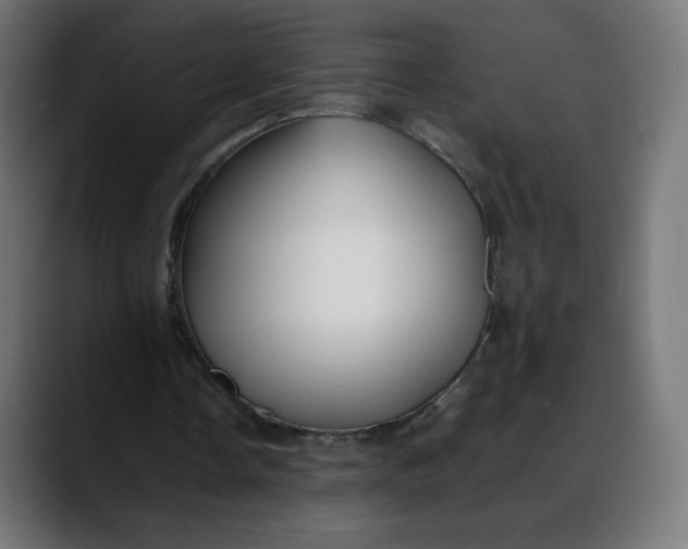 X0000088050338200705251327
