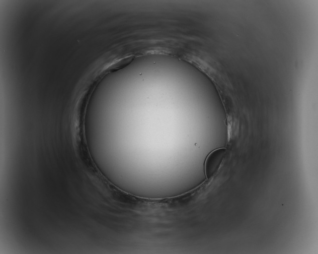 X0000088050339200705251327