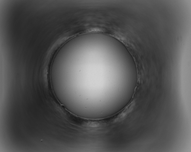 X0000088050341200705251327