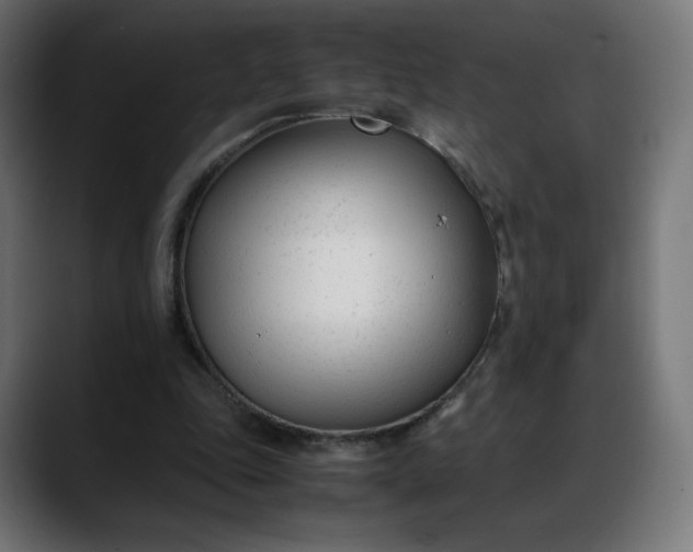 X0000088050343200705251327