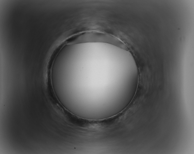 X0000088050344200705251327