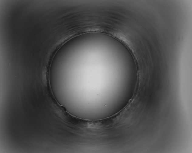X0000088050345200705251327