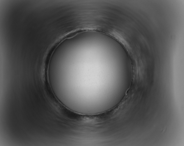 X0000088050346200705251327