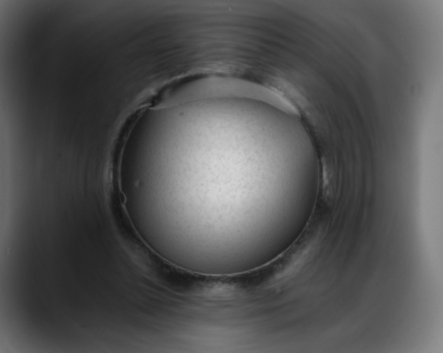 X0000088050348200705251327