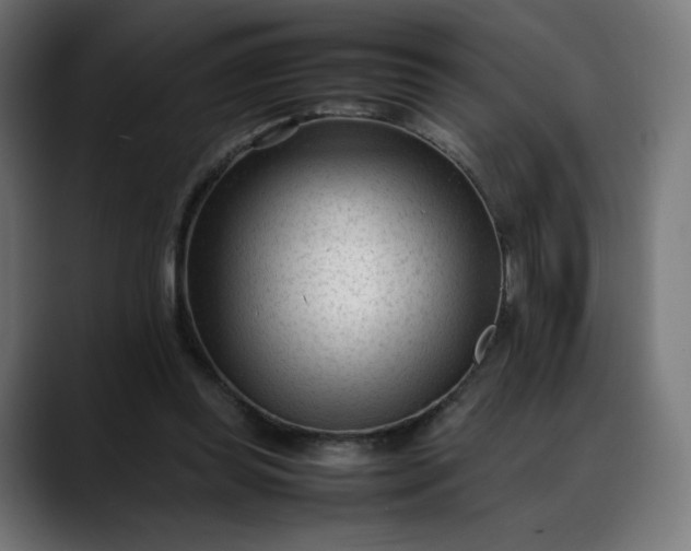 X0000088050349200705251327