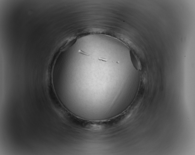 X0000088050352200705251327