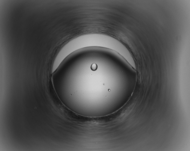 X0000088050356200705251327