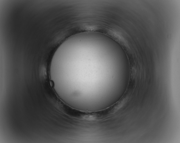 X0000088050358200705251327