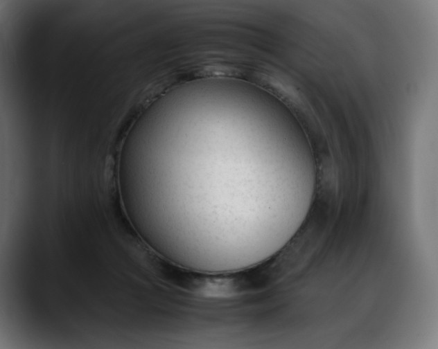 X0000088050361200705251327