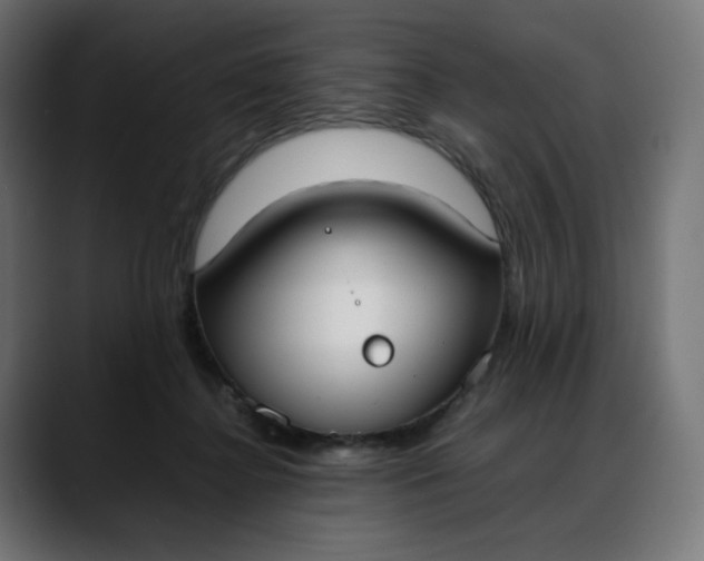 X0000088050364200705251327