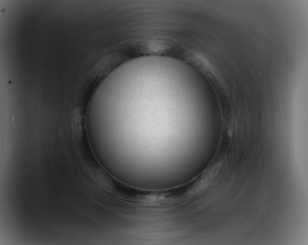 X0000088050366200705251327