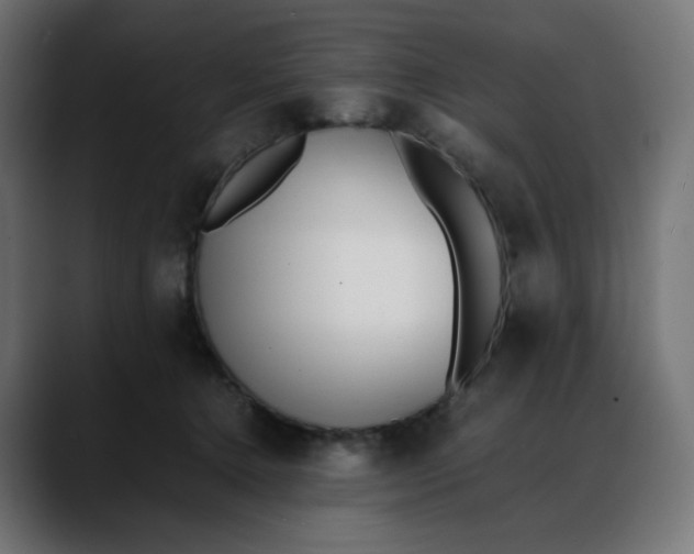 X0000088050368200705251327