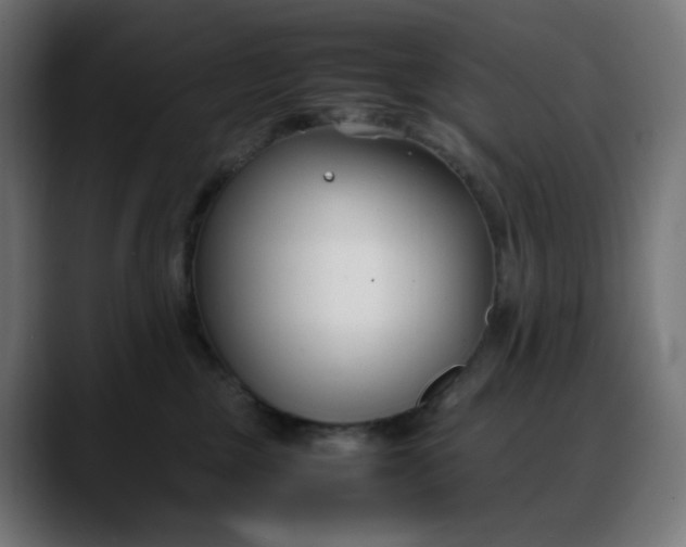 X0000088050377200705251327