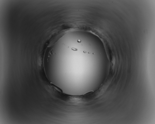 X0000088050380200705251327