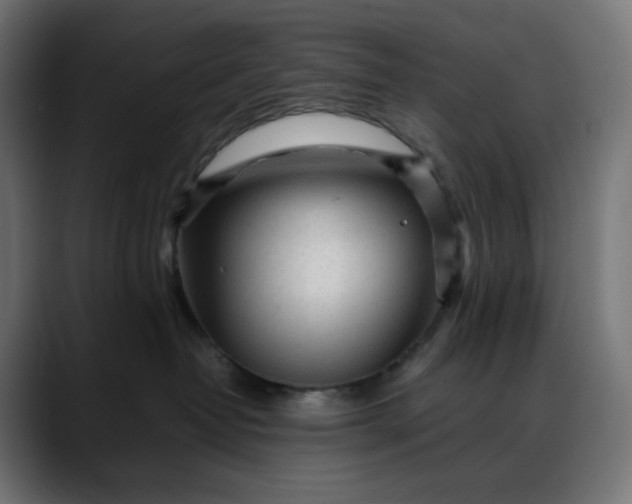 X0000088050382200705251327