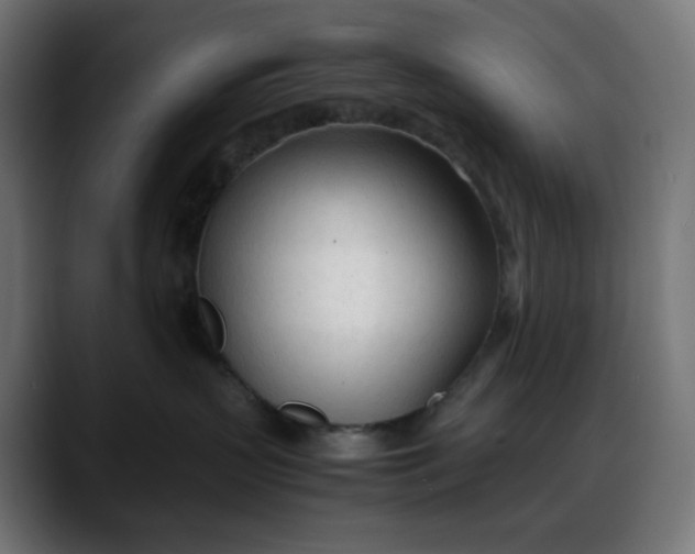 X0000088050383200705251327
