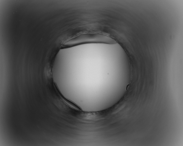 X0000088050384200705251327