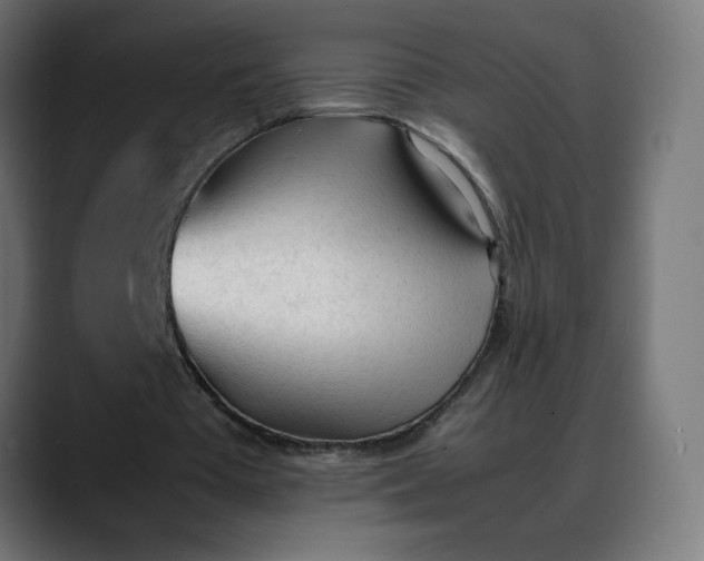 X0000088050385200705251327