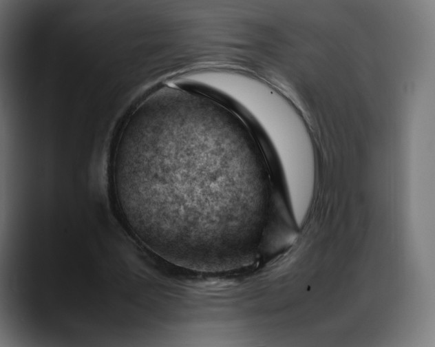 X0000088050387200705251327