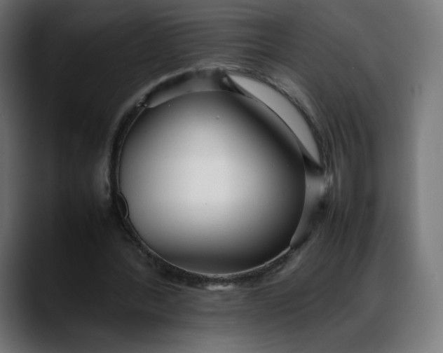 X0000088050388200705251327