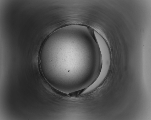 X0000088050389200705251327