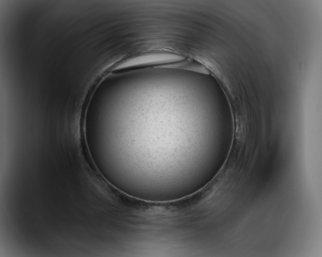 X0000088050390200705251326