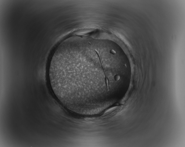 X0000088050391200705251326