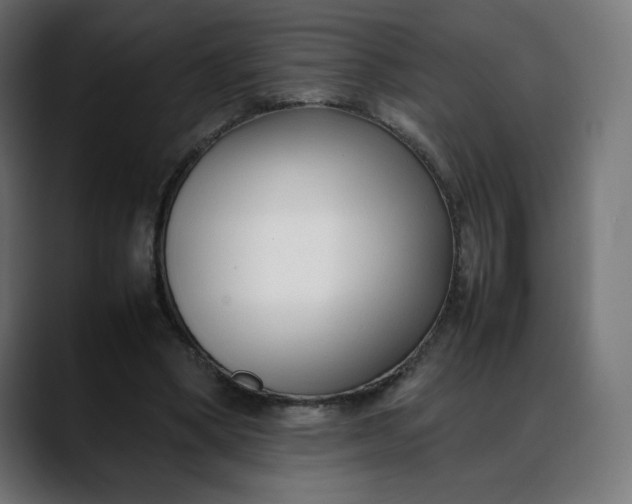 X0000088050394200705251326