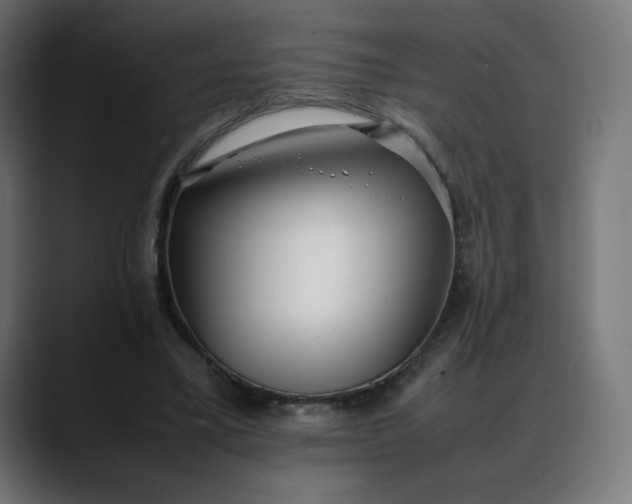 X0000088050395200705251326