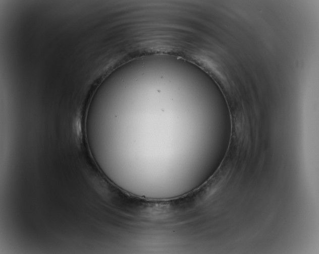 X0000088050398200705251326