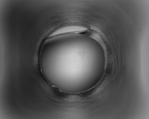 X0000088050399200705251326