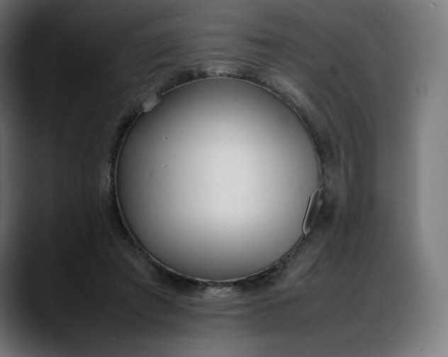 X0000088050401200705251326