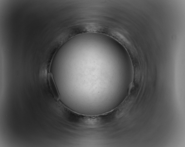 X0000088050405200705251326
