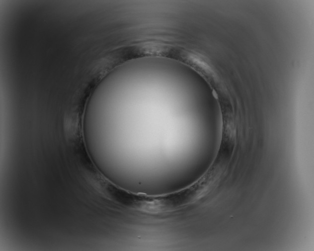 X0000088050411200705251326