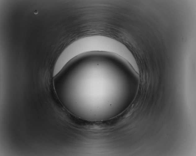 X0000088050412200705251326