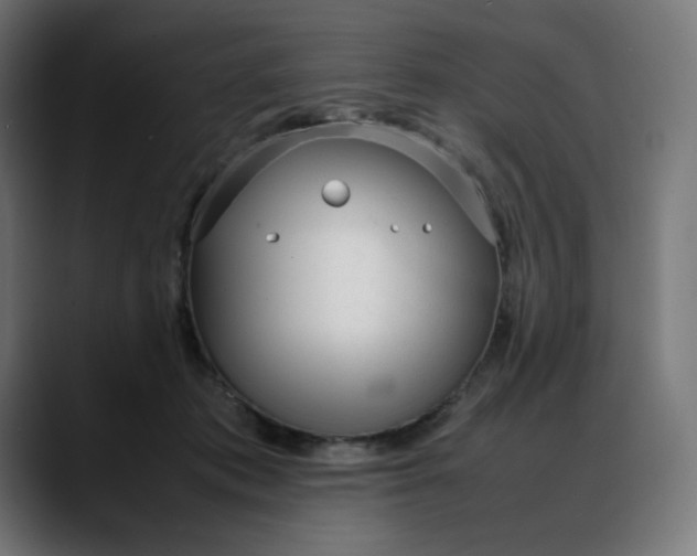 X0000088050413200705251326