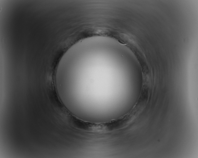 X0000088050415200705251326