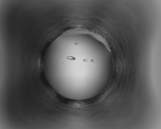 X0000088050420200705251326