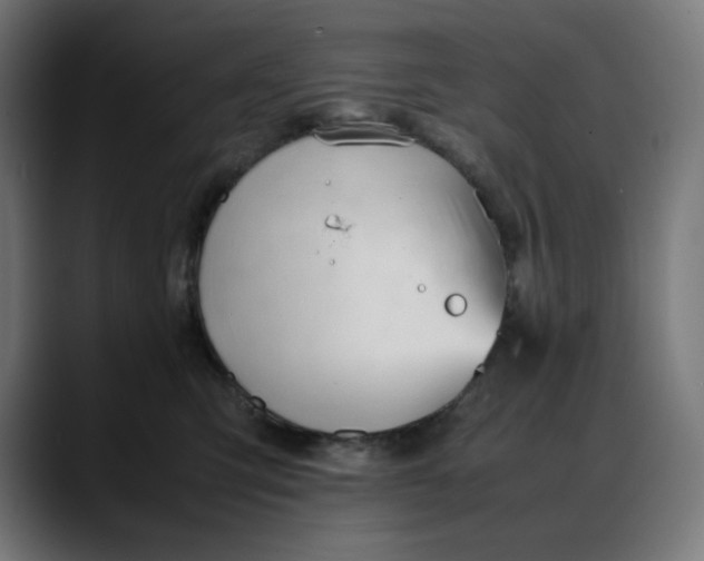 X0000088050423200705251326