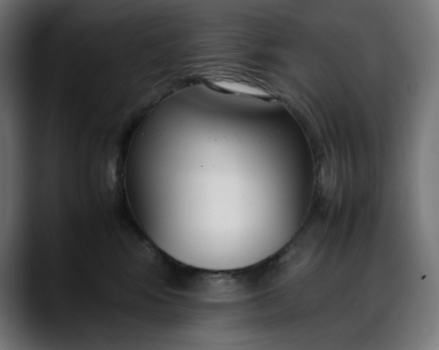 X0000088050424200705251326