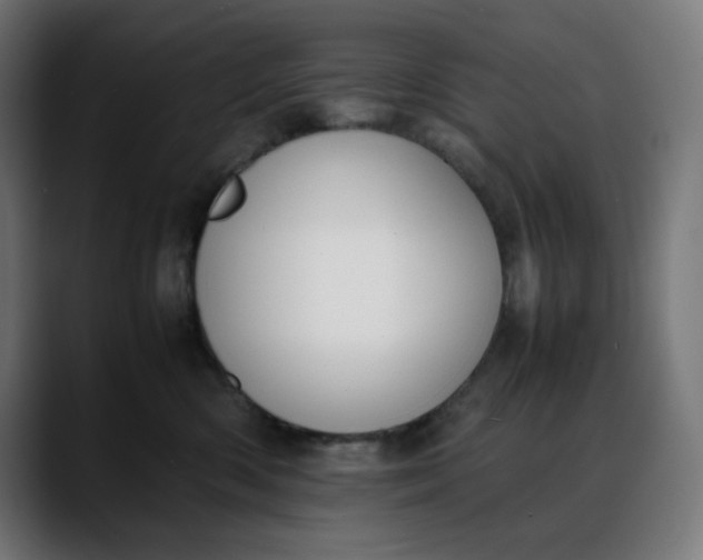 X0000088050426200705251326