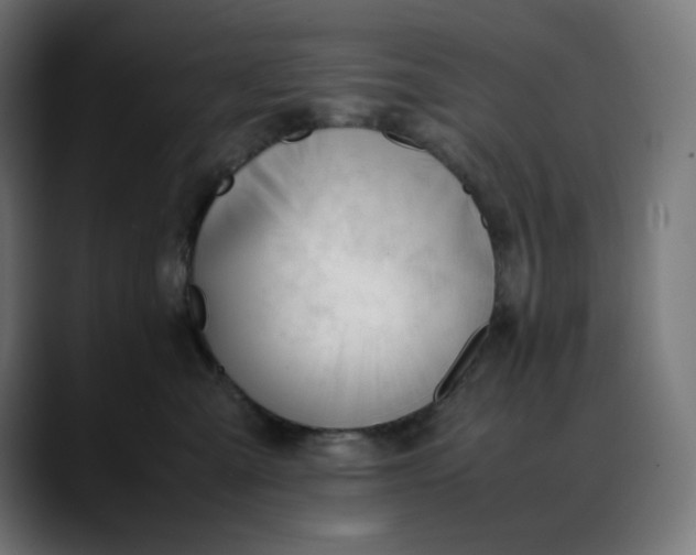X0000088050427200705251326