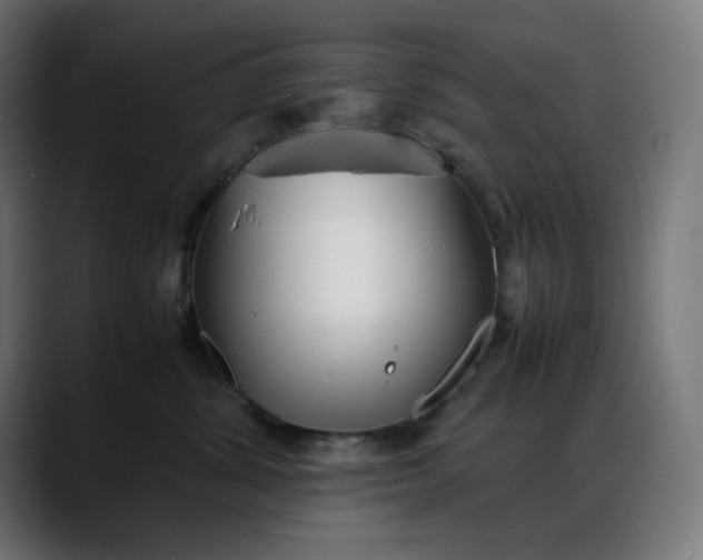 X0000088050428200705251326