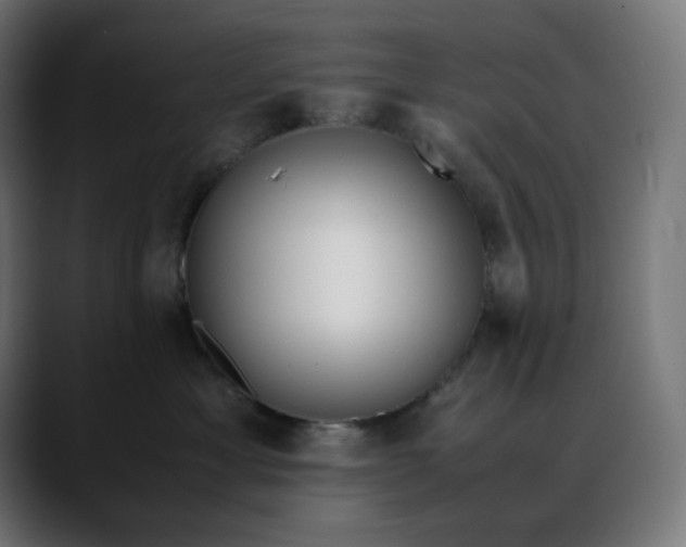 X0000088050429200705251326
