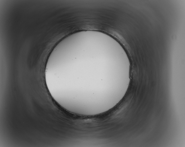 X0000088050433200705251325