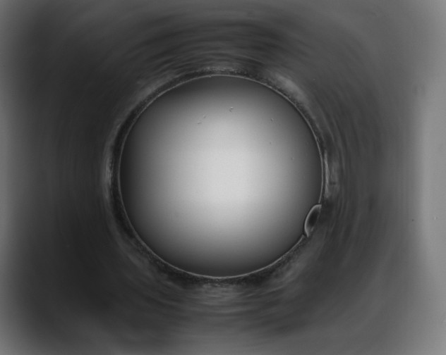 X0000088050435200705251325