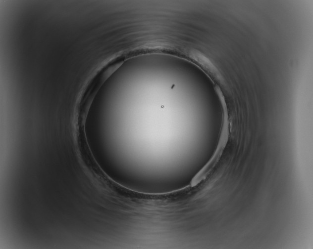 X0000088050436200705251325