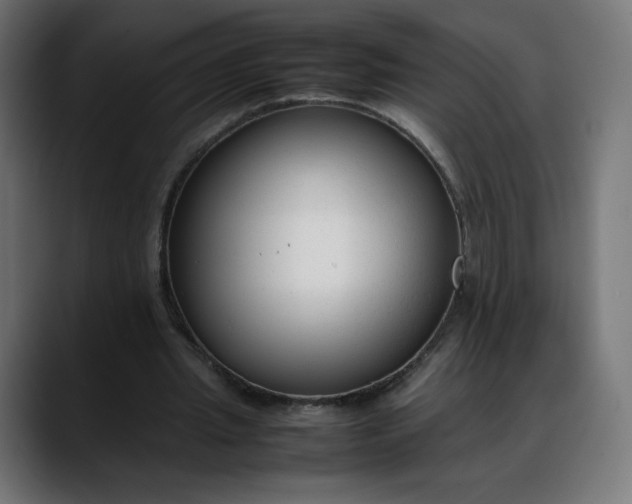 X0000088050437200705251325