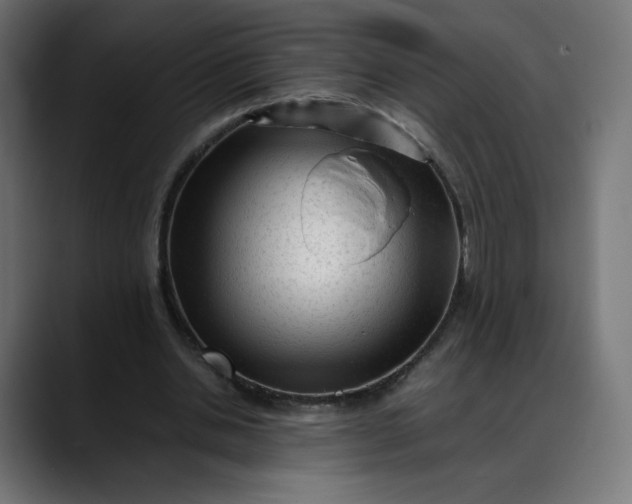 X0000088050438200705251325